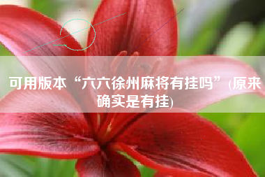 可用版本“六六徐州麻将有挂吗”(原来确实是有挂)