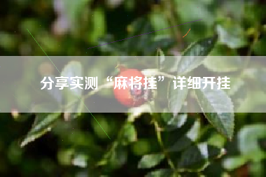 分享实测“麻将挂	”详细开挂