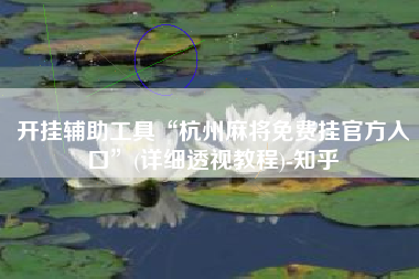 开挂辅助工具“杭州麻将免费挂官方入口	”(详细透视教程)-知乎