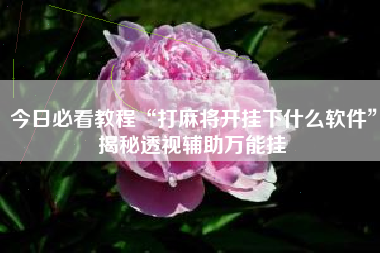 今日必看教程“打麻将开挂下什么软件”揭秘透视辅助万能挂