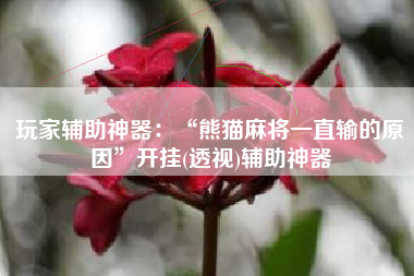 玩家辅助神器：“熊猫麻将一直输的原因”开挂(透视)辅助神器