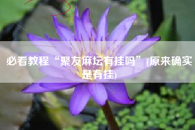 必看教程“聚友麻坛有挂吗”(原来确实是有挂)