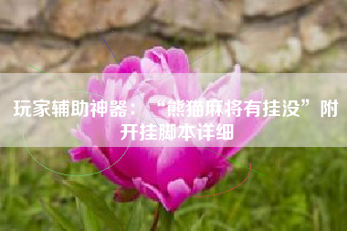 玩家辅助神器：“熊猫麻将有挂没	”附开挂脚本详细