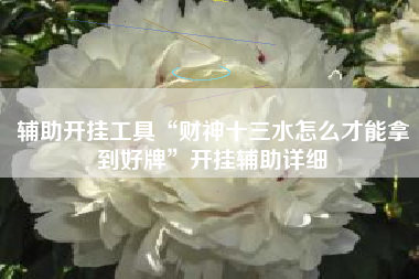 辅助开挂工具“财神十三水怎么才能拿到好牌”开挂辅助详细