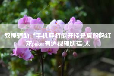教程辅助“手机麻将能开挂是真的吗红龙poker有透视辅助挂(太