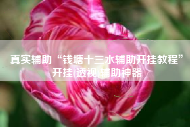 真实辅助“钱塘十三水辅助开挂教程	”开挂(透视)辅助神器