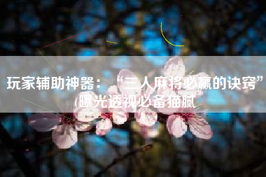 玩家辅助神器：“三人麻将必赢的诀窍”(曝光透视必备猫腻