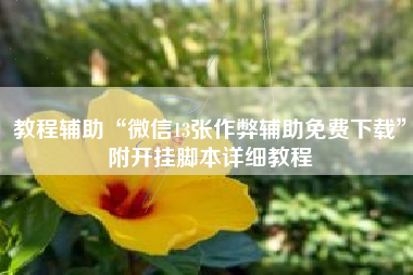 教程辅助“微信13张作弊辅助免费下载”附开挂脚本详细教程