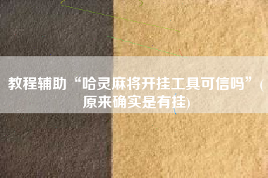 教程辅助“哈灵麻将开挂工具可信吗”(原来确实是有挂)