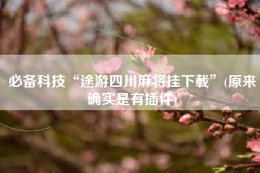 必备科技“途游四川麻将挂下载”(原来确实是有插件)