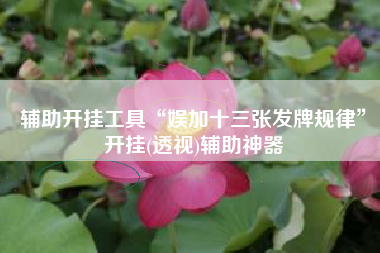 辅助开挂工具“娱加十三张发牌规律”开挂(透视)辅助神器