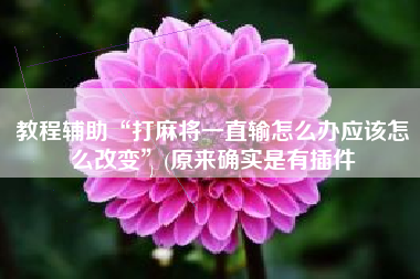 教程辅助“打麻将一直输怎么办应该怎么改变”(原来确实是有插件