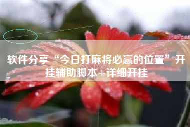 软件分享“今日打麻将必赢的位置”开挂辅助脚本+详细开挂