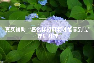 真实辅助“怎么样打麻将才能赢到钱”详细开挂