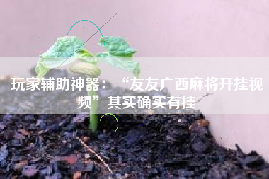 玩家辅助神器：“友友广西麻将开挂视频	”其实确实有挂